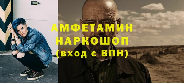 хмурый Аркадак