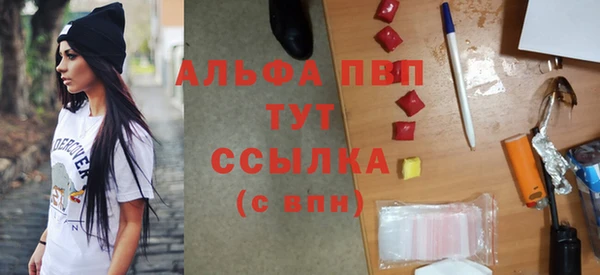 хмурый Аркадак