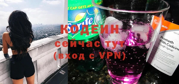 хмурый Аркадак