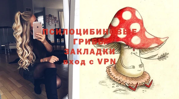 хмурый Аркадак