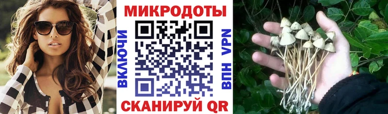 Псилоцибиновые грибы ЛСД  Купить где  Первомайск 