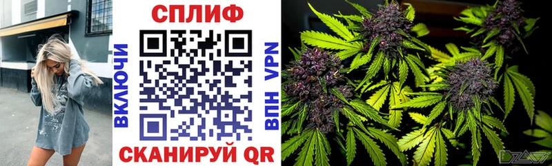 Купить  Первомайск  Конопля AK-47 